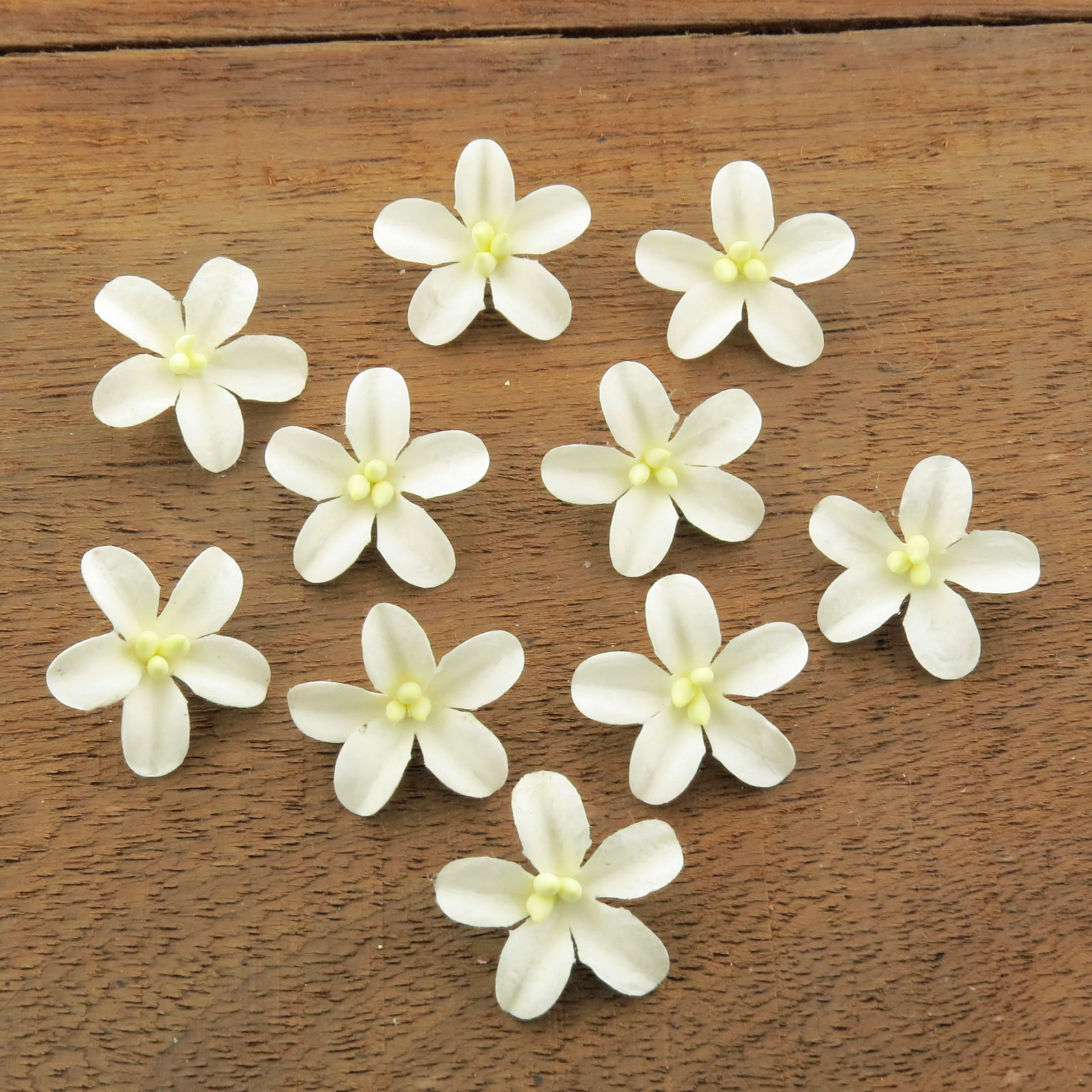 WHITE COTTON STEM MULBERRY PAPER FLOWERS - SET D